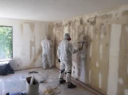 Best Black Mold Removal  in Pumpkin Center, NC